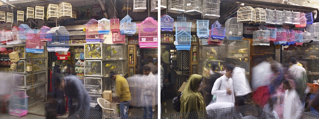 Bird Cages, Crawford Market, Mumbai, India - 2013