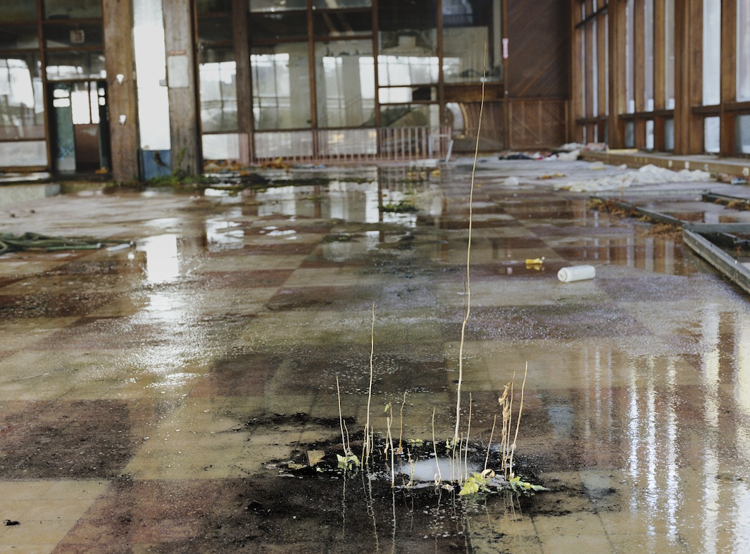 Marisa Scheinfeld Photographs Old Hotels In The Catskill Mountains Indoor Pool 2 Grossinger S Catskill Resort And Hotel Liberty Ny 2017