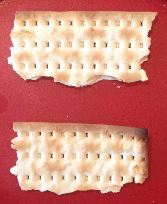 equalitymatzo