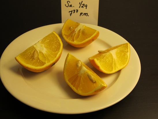 /blogs/cleanplate/2011/01/29/jan_29_what_i_ate_why_am_i_feeling_shame/jcr:content/body/slate_image3 /blogs/cleanplate/2011/01/29/jan_29_what_i_ate_why_am_i_feeling_shame/jcr:content/body/slate_image3