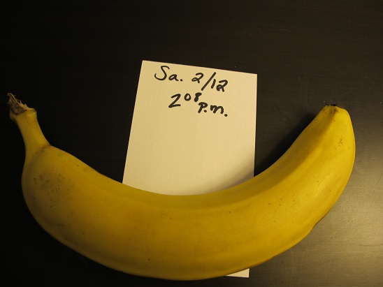 /blogs/cleanplate/2011/02/13/feb_12_what_i_ate/jcr:content/body/slate_image0 /blogs/cleanplate/2011/02/13/feb_12_what_i_ate/jcr:content/body/slate_image0
