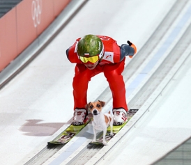 ski jumper with dog