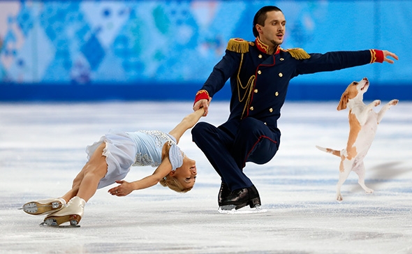 pairs figure skating plus dog