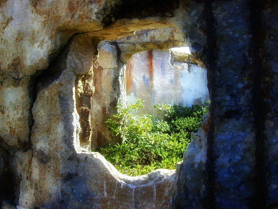 Remains of Sutro Baths in 2005.