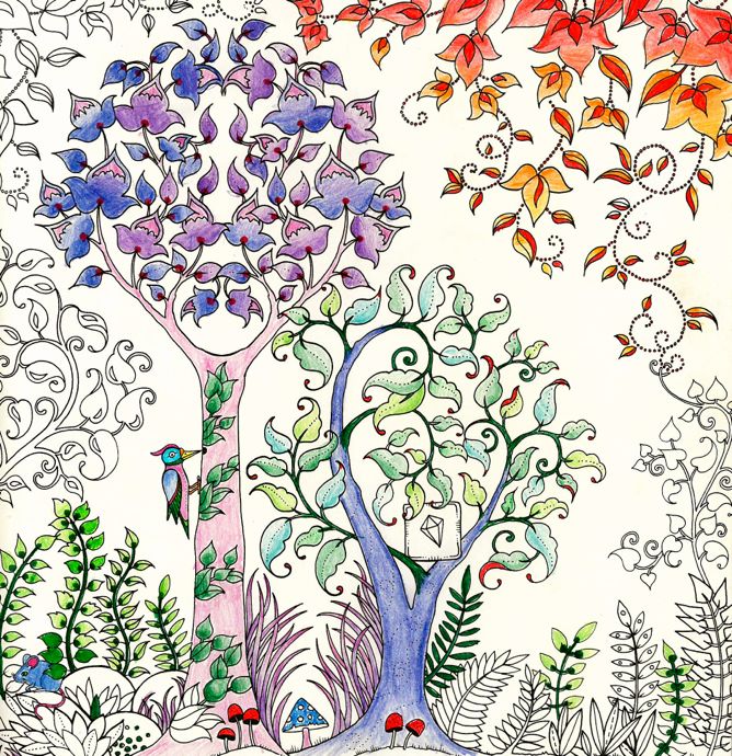 Johanna Basford Enchanted Forest Secret Garden Addictive