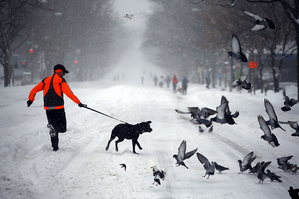 160123_SLATEST_Snow-13 Washington DC