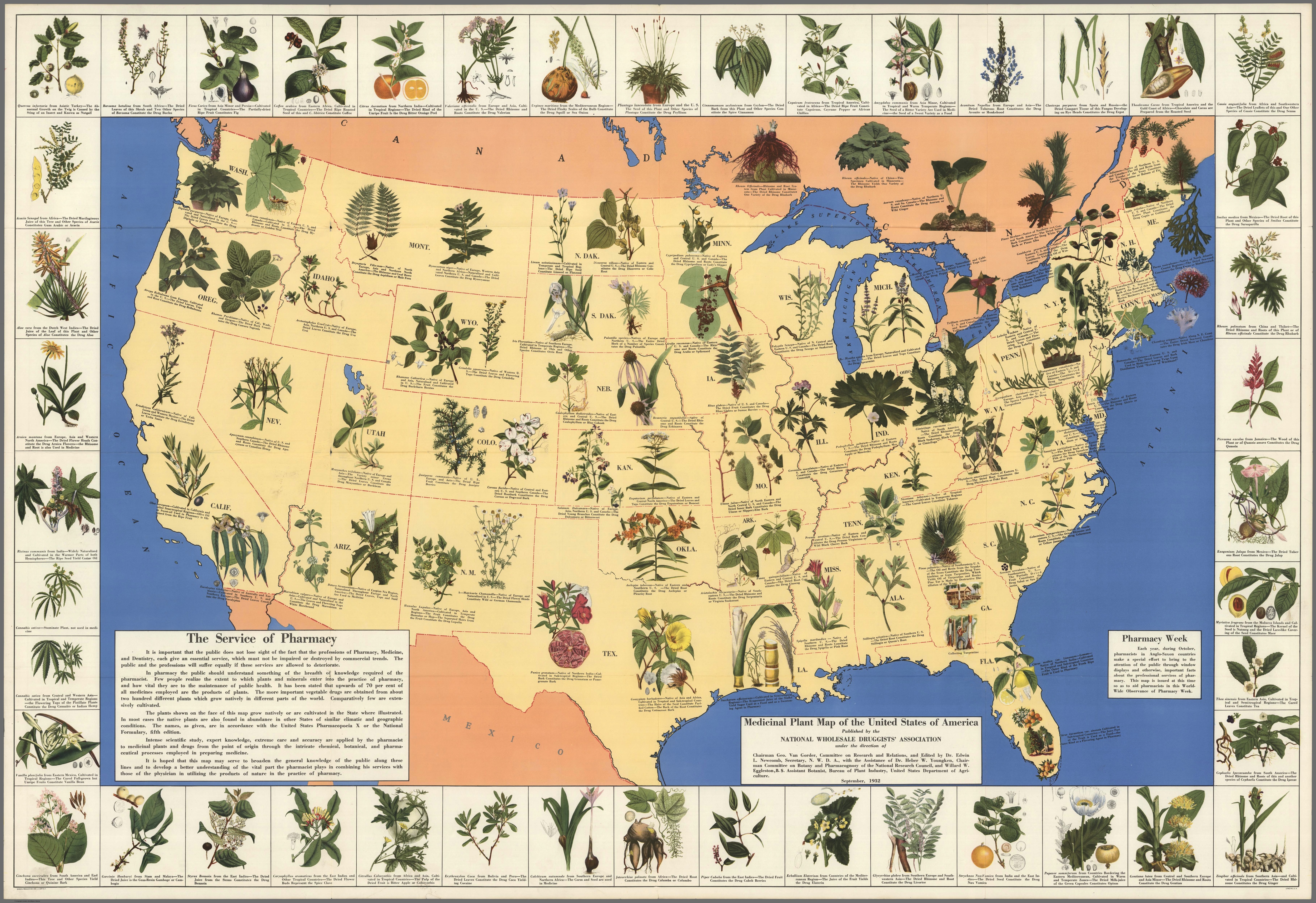 History of medicinal plants: Map of the plants in the United States