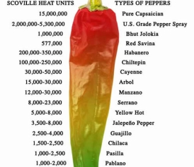 chart_of_the_day_pepper_spray_as_a_food1322001524785 chart_of_the_day_pepper_spray_as_a_food1322001524785