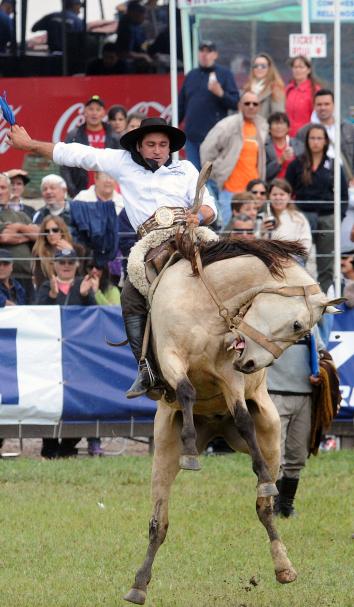 484640699-gaucho-rides-a-bucking-colt-during-the-traditional