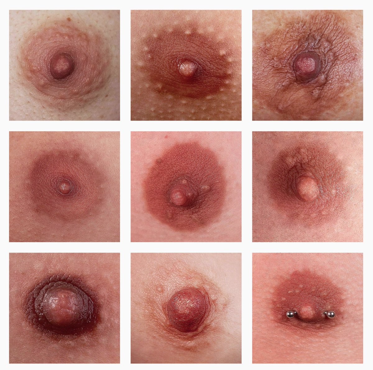Various Nipple Shapes Xxx Porn