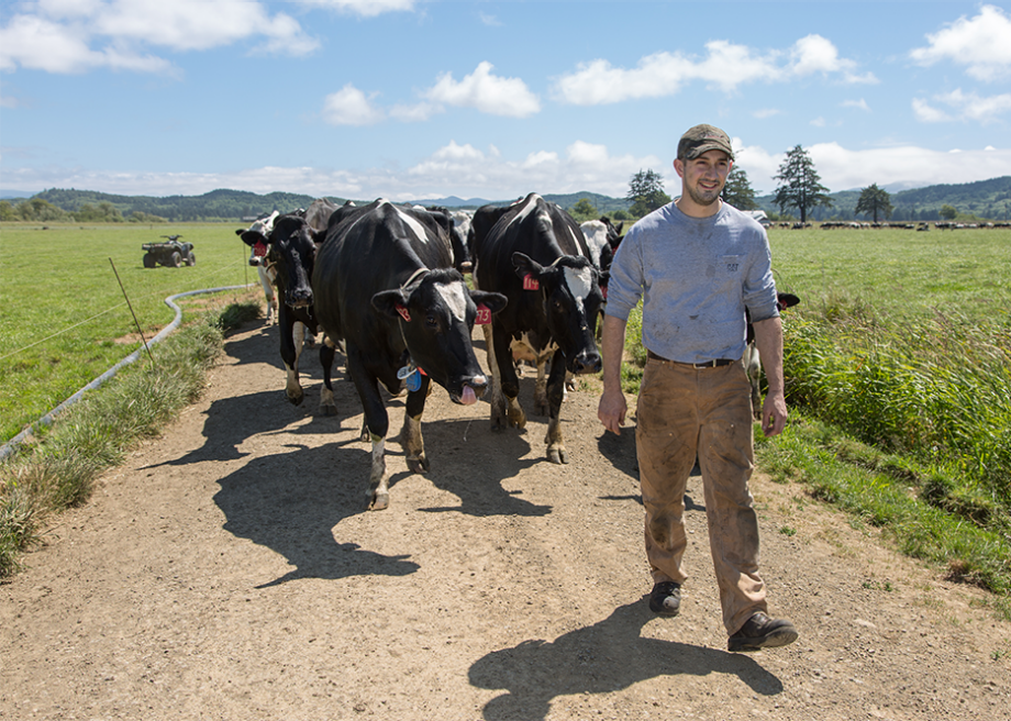 Brian Jenck on Jenck Farms, Tillamook, OR