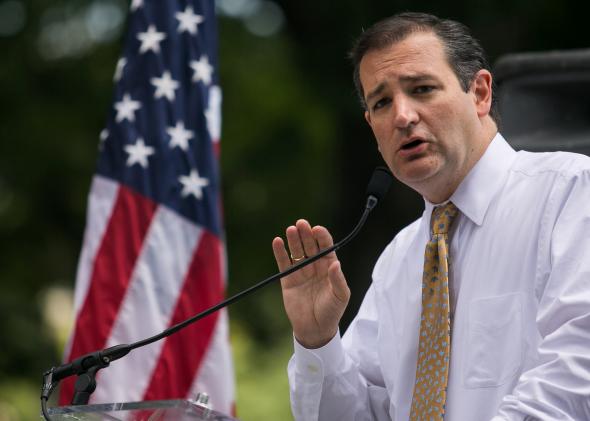 173495271-sen-ted-cruz-speaks-about-immigration-during-the-dc