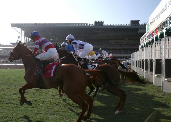 458911907-horses-leave-the-gate-at-the-start-of-the-third-race-at