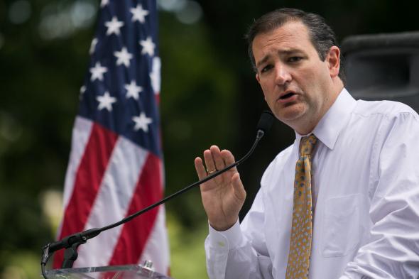 173495271-sen-ted-cruz-speaks-about-immigration-during-the-dc