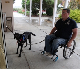 45% of Afghanistan, Iraq Vets Seek Disability