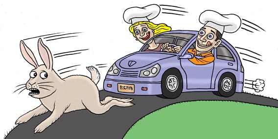 Slate Illustrated, 2011