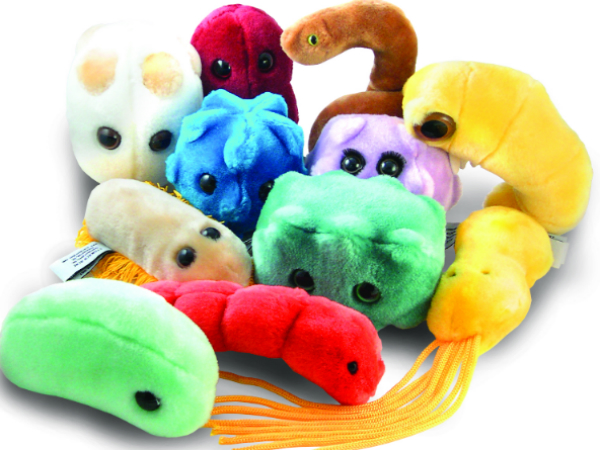 bacteria stuffed animals