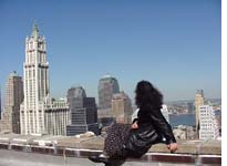 The view from the roof