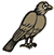1_123125_123011_2076278_2079762_2080040_030312_hawk