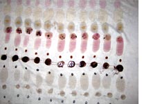Fabric with stains. Click image to expand.