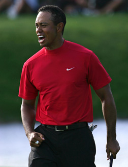 Tiger Woods. Click image to expand.