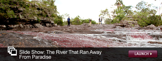 Click here to launch a slideshow on Cano Cristales.