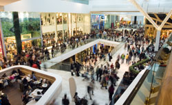A crowd in the mall. Click to expand image. 