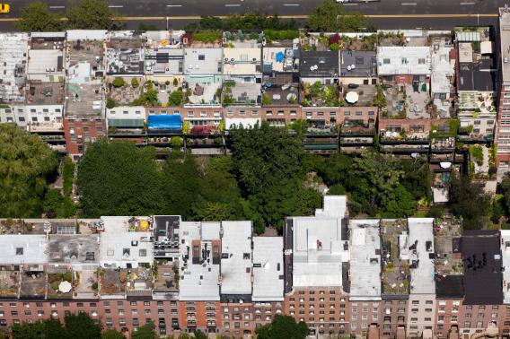 White Roof