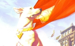 This is Krypto the Super Dog. He is awesome. These are facts.