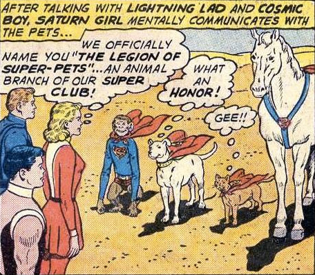 Our numbers, and fleas, are legion: The Super-Pets. Adventure Comics No. 293 (February 1962).