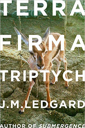 151125_BOOKS_Overlooked-terra-firma-triptych