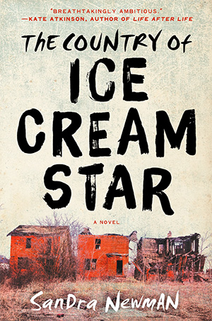 151125_BOOKS_Overlooked-the-country-of-ice-cream-star