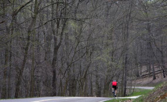 Bicyclist 