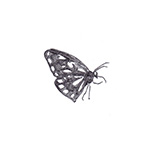 151202_DX_Anorexia-Spot-Butterfly-150