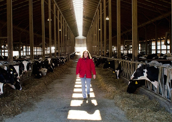 brendahastingsinbarn_590x421