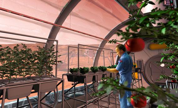 As seen in this artist's rendering, astronauts exploring Mars will build hydroponic growth labs where vegetables can be grown.