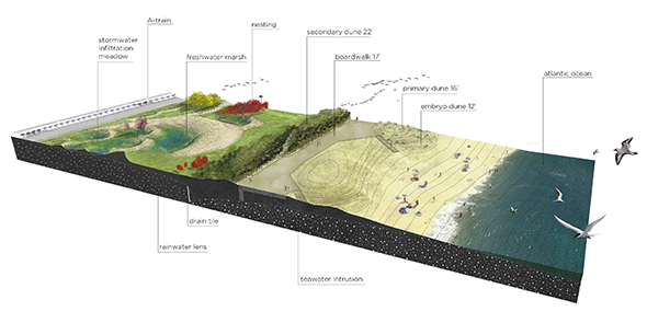 Rendering of the proposed Rockaway East Resiliency Preserve.