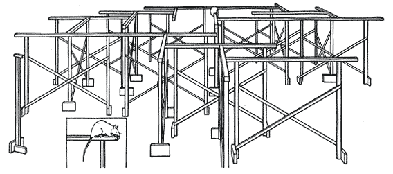 06_elevated-trestle-maze