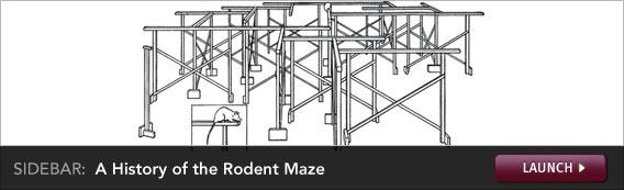 Click to launch a sidebar on rodent mazes.