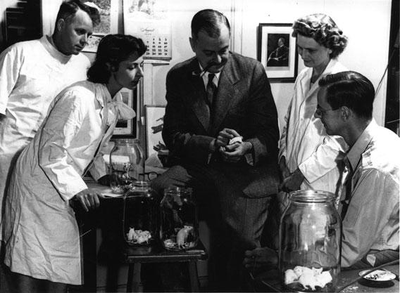 Clarence Cook Little (center, holding mouse) with researcher George Woolley, students Liane Brauch and Cora Harris, and researcher William Russell.