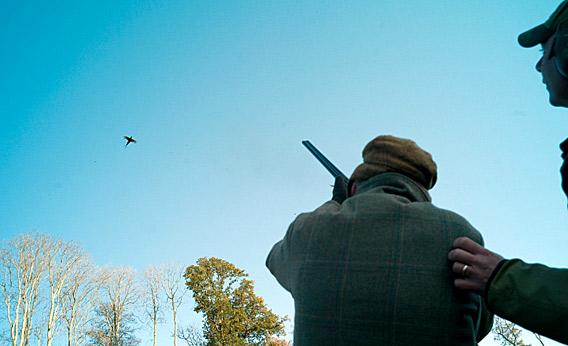 A man shooting a bird.