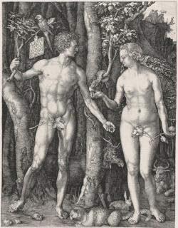 A print by Albrecht Durer titled Adam and Eve (The Fall of Man).