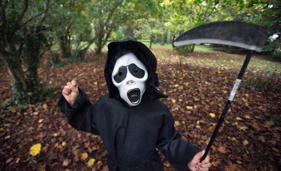 154981267 Happy Halloween!