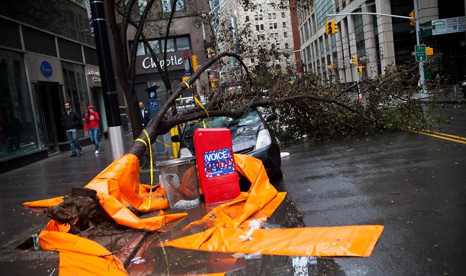 A car crushed by a tree following Hurricane Sandy on October 30, 2012 in the Financial District of New York.