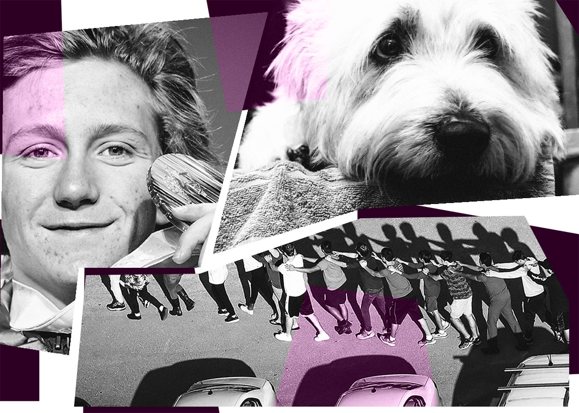 180215_QUIZ_shootingRedDog