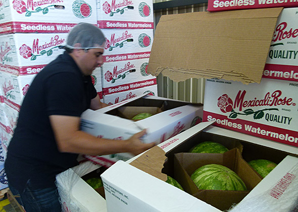 Omar Sanchez, a produce sales rep for Sandia Distributors, displays his wares in Nogales, Arizona.