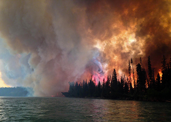 Fire in a Kenai-Kodiak Area forest