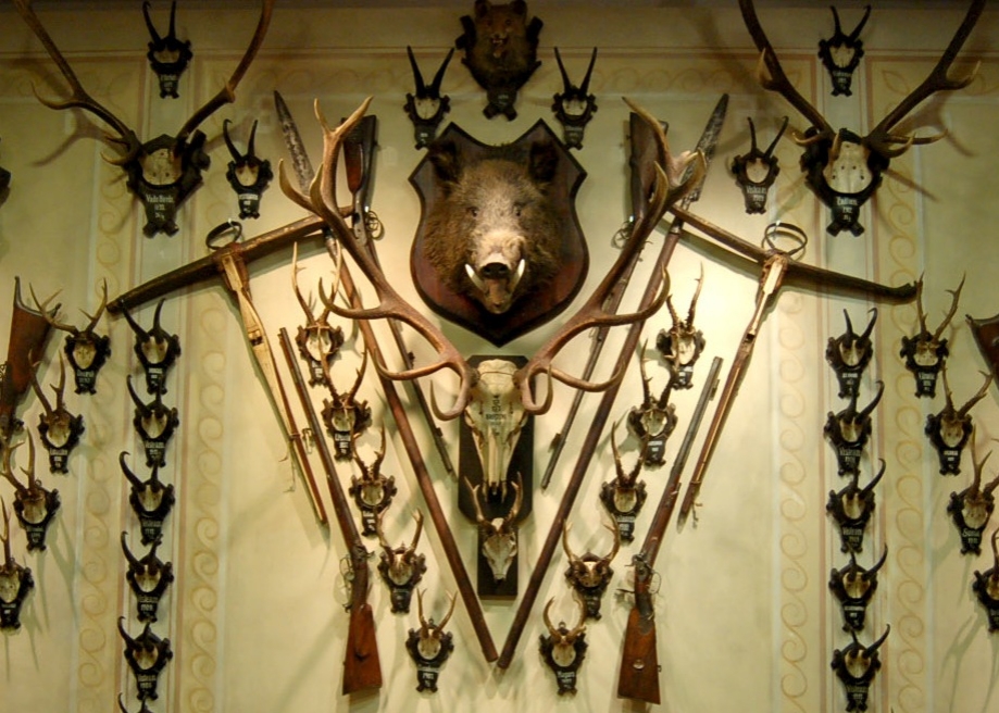 sibiu6