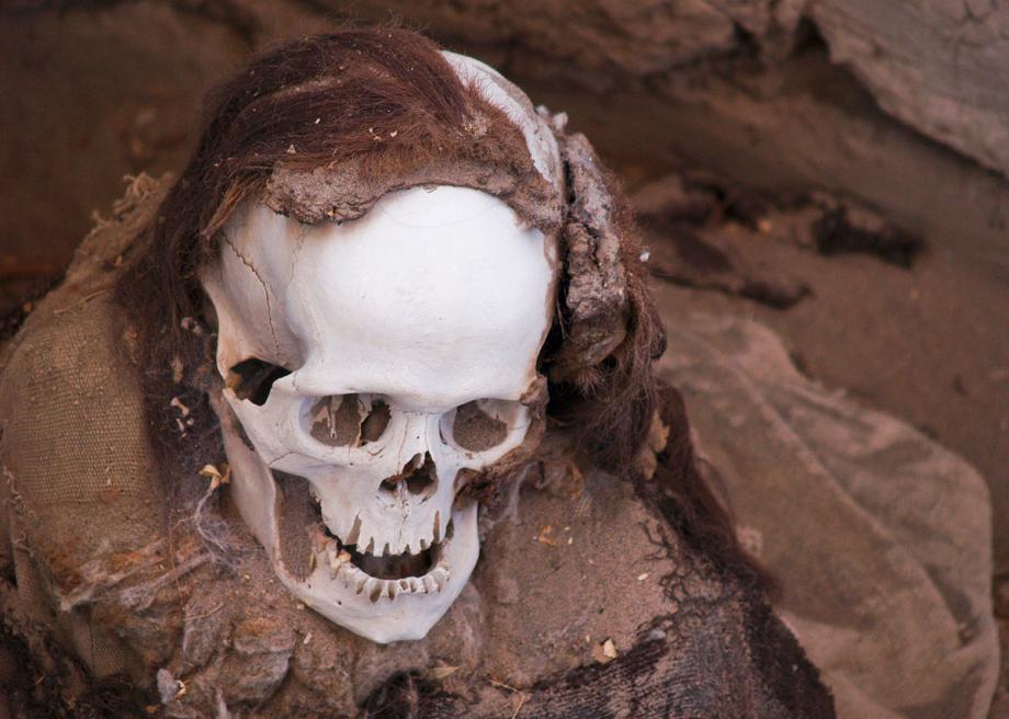 1200pxchauchilla_cemetery_skull