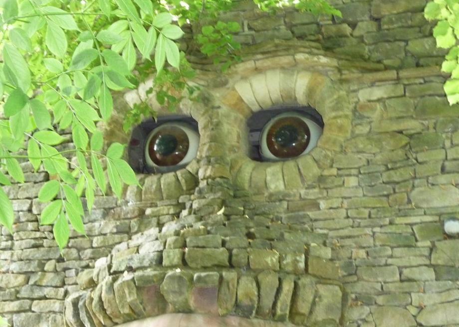 eyes